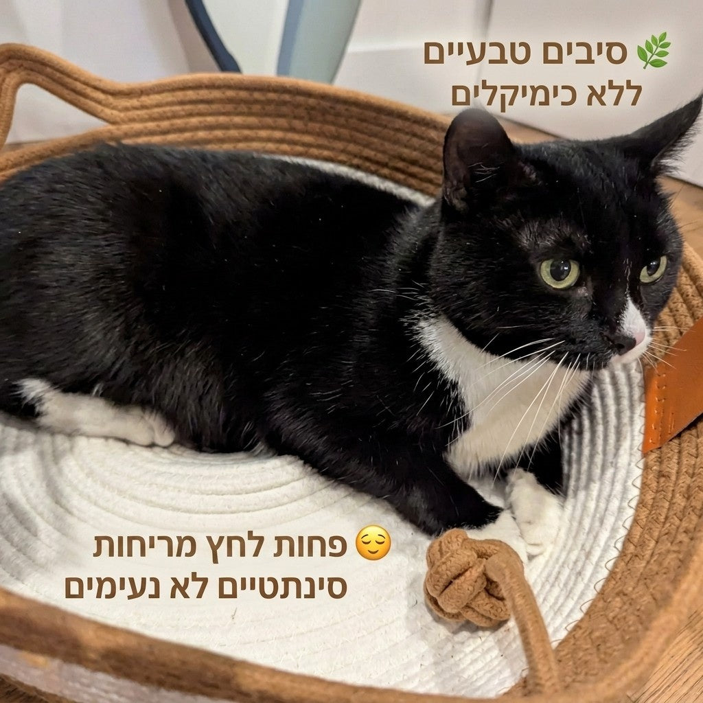 ™ClawNest | סל הגירוד הטבעי שהחתול שלכם לא ירצה לעזוב